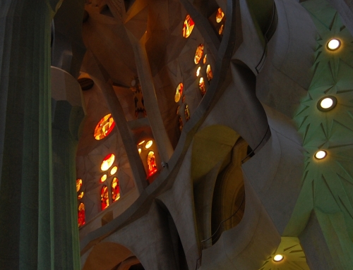 Geometry Study of the Columns of the Sagrada Familia